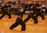 USA-KARATE-Adult-program-sm-13