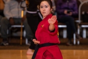 USA-Karate-adult-program